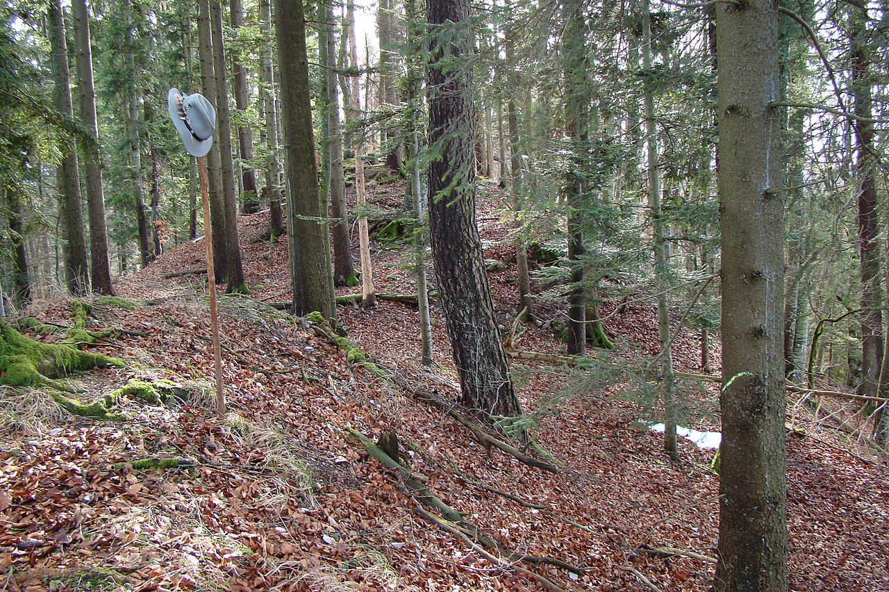 Wildentierberg Castle (Ruin)