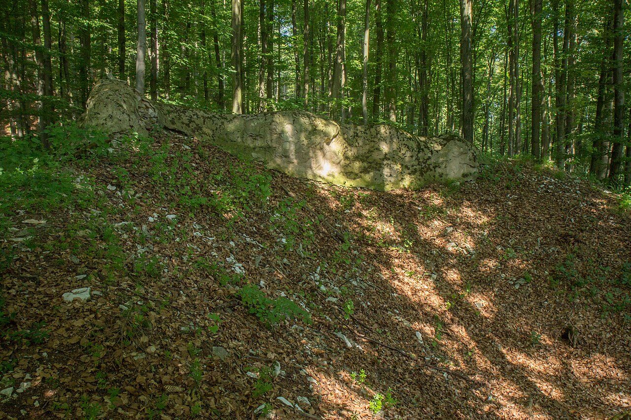 Liebeneck Castle (Ruin)
