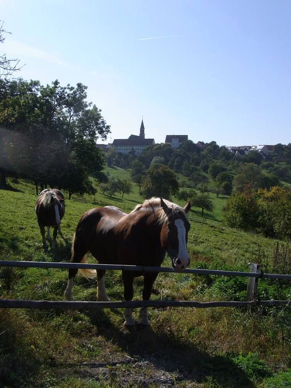 Dominikanerinnenkloster Binsdorf