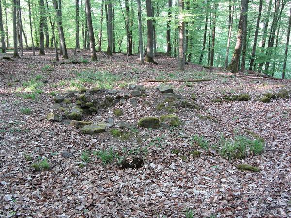 Gronauer Castle (Ruin) (Salzböden)