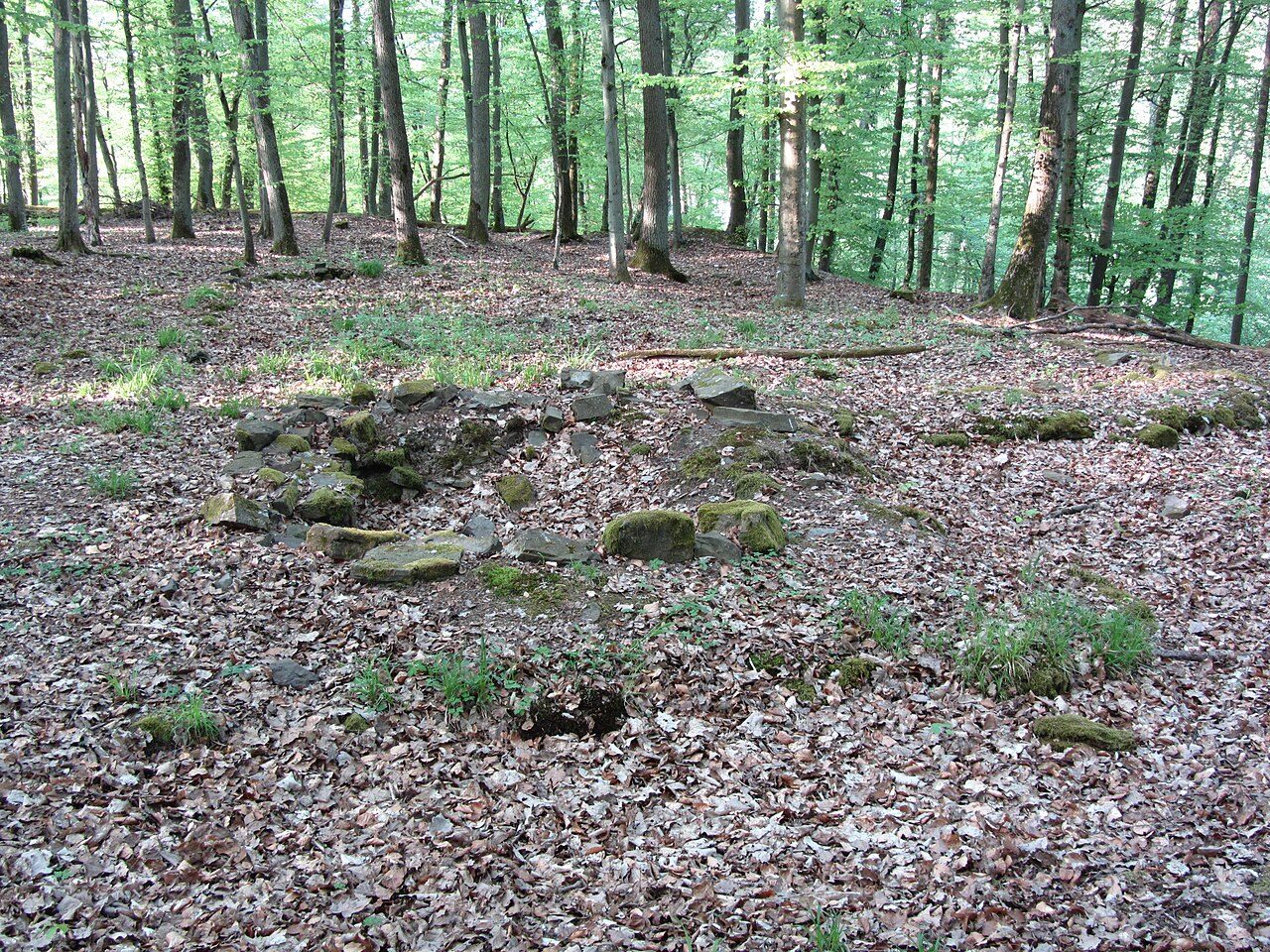 Gronauer Castle (Ruin) (Salzböden)