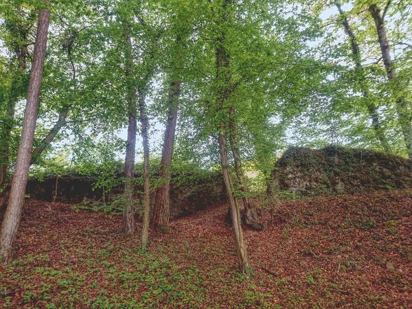 Neu-Elkerhausen Castle (Ruin) (Gräveneck)
