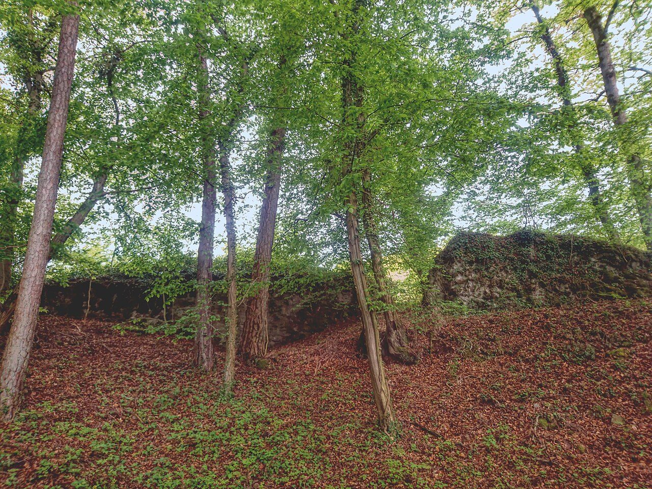 Neu-Elkerhausen Castle (Ruin) (Gräveneck)