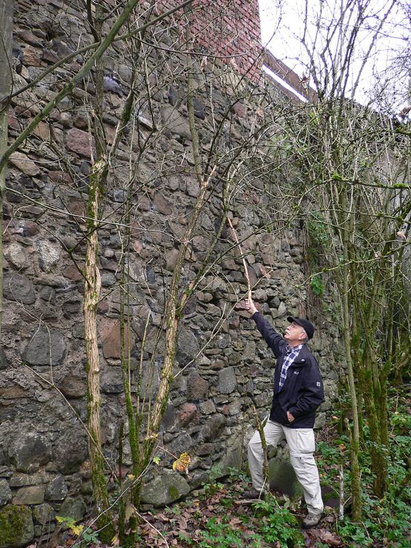 Dernbach Castle (Ruin)