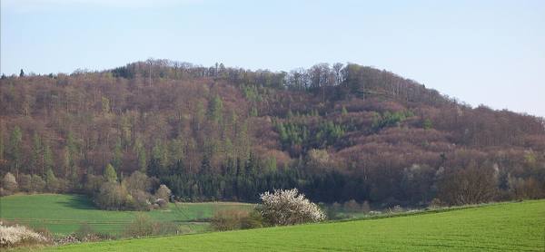 Hohenfels Castle (Ruin) (Allendorf)