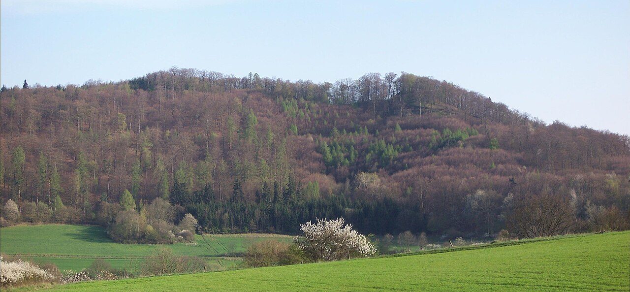 Hohenfels Castle (Ruin) (Allendorf)