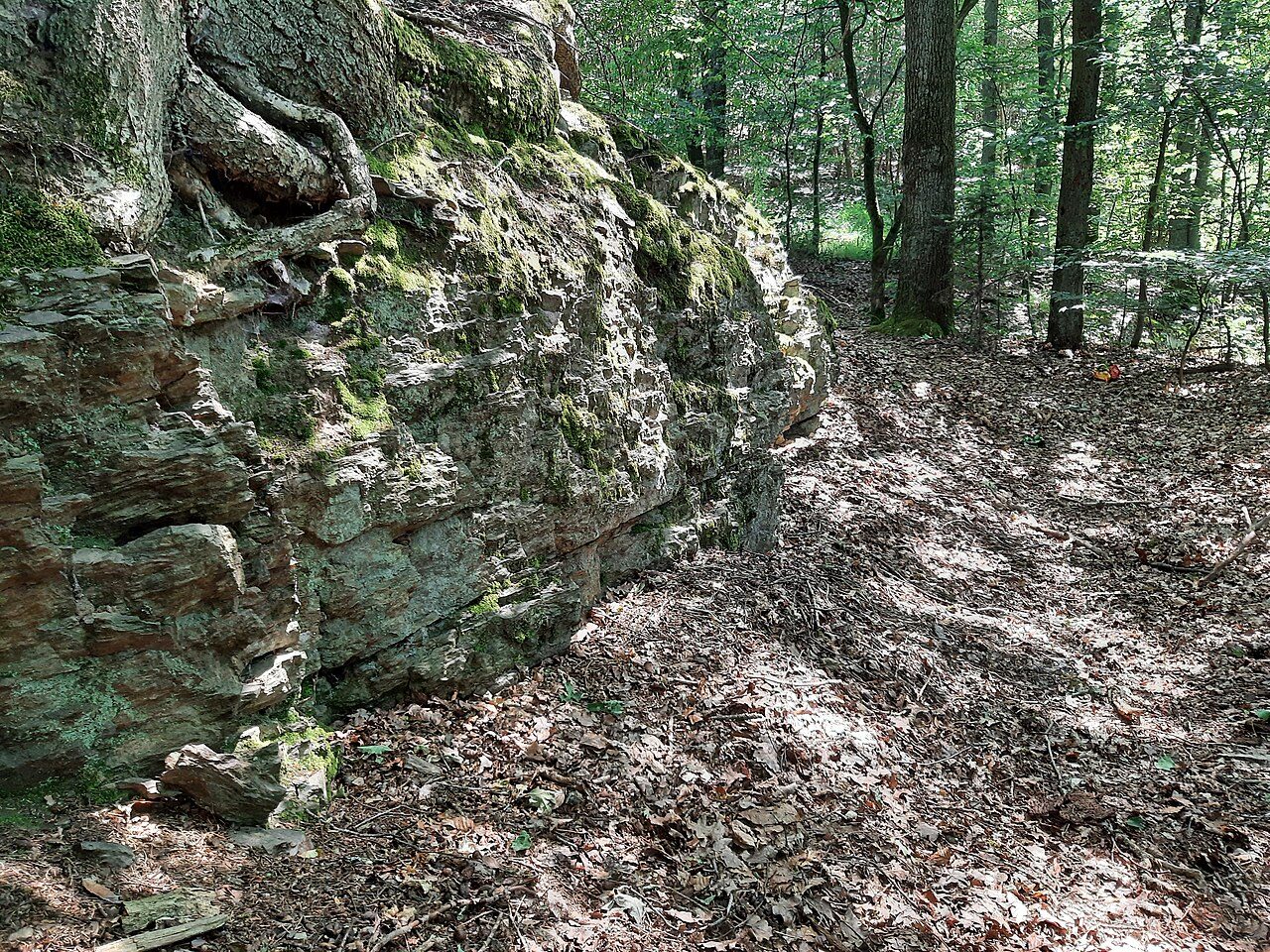 Old Castle (Ruin) (Dreis-Tiefenbach)