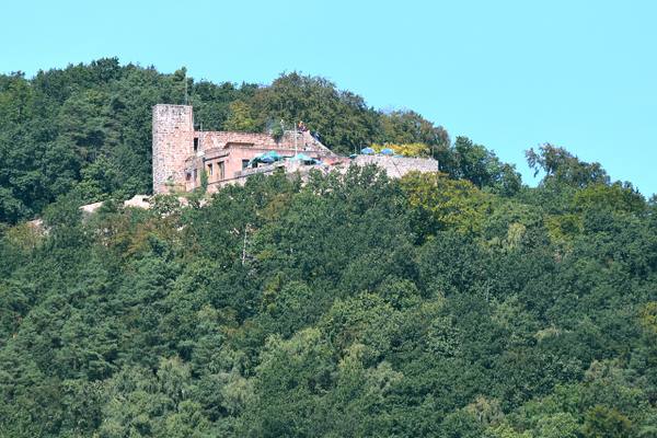 Burgruine Rietburg