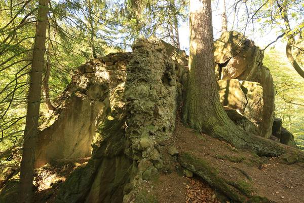 Ahlsburg Castle (Ruin) (Ilsenburg)