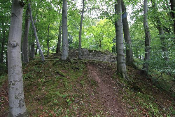 Raubschloss (Ruin) (Dörrberg)
