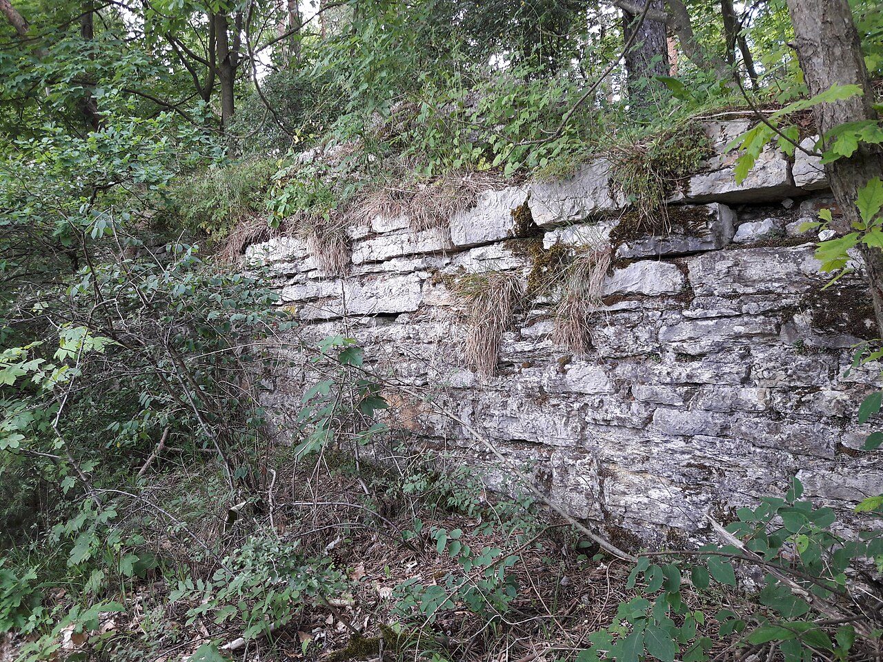 Reinsburg Castle (Ruin) (Reinsfeld)